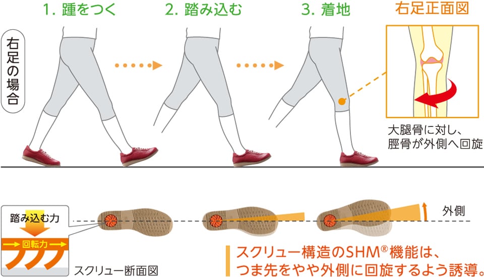 アサヒメディカルウォークは踏み込む力により、スクリュー構造の「SHM機能」がつま先をやや外側に回旋するように誘導する　という図説